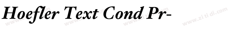 Hoefler Text Cond Pr字体转换